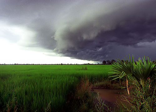 Cambodia Klima Vejr